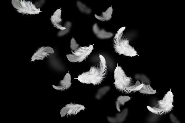 羽毛抽象背景图片下载