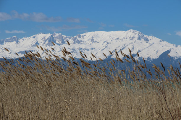 贝赛尔山纳马斯山图片下载