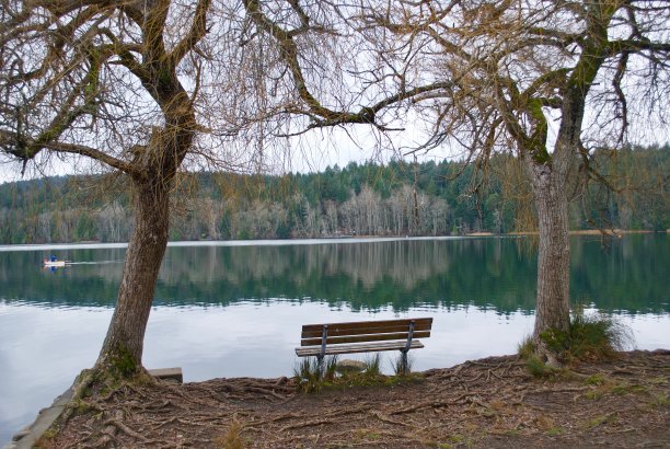 麋鹿湖的长凳视图图片下载