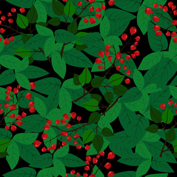 越橘的模式。图片下载