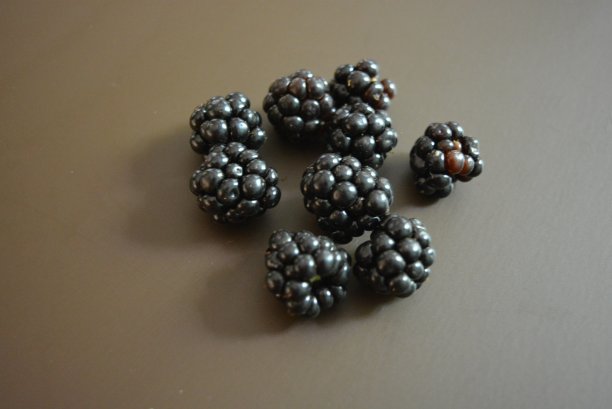 新鲜采摘的黑莓与水在棕色哑光背景。图片下载