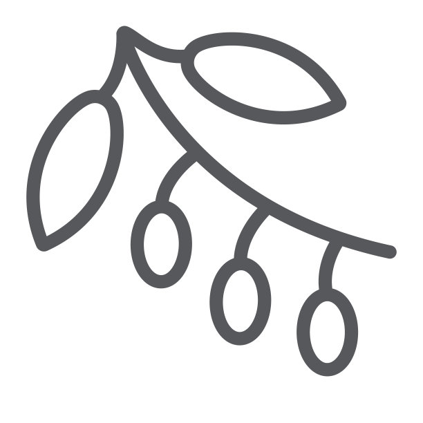 咖啡分支线图标，咖啡和谷物，咖啡植物标志，矢量图形，白色背景上的线性图案。图片下载