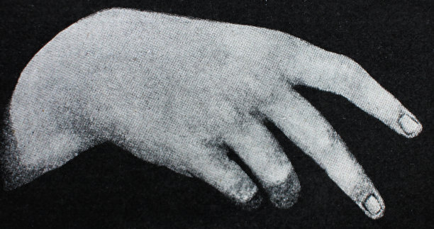 达芬奇的手或手臂(细节)图片下载