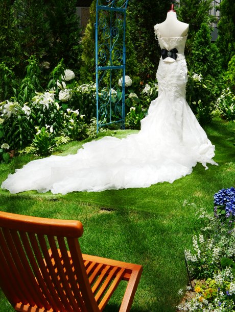 春季花园婚礼形象图片下载