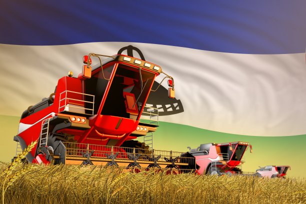 工业三维插图的农业联合收割机工作在麦田与莱索托旗帜的背景，食品生产的概念图片下载