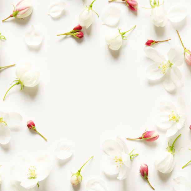 创意的夏日鲜花布局与空白的文字在白纸上。模型。从以上观点。——图片图片下载