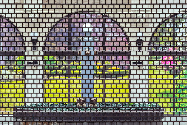 穿过格子。图片下载