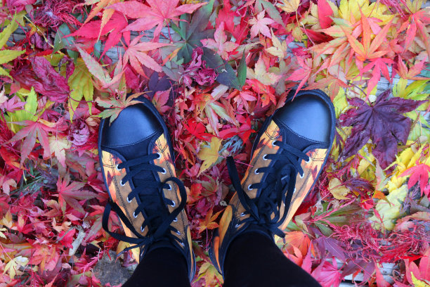 形象的女孩走过秋天的树叶在黑色的靴子，橙色，黄色和红色的秋天的颜色，树叶秋天的颜色，彩色的秋天的叶子日本枫槭树，木制甲板木板，鞋，鞋带，自然树叶图案阳光林地图片下载