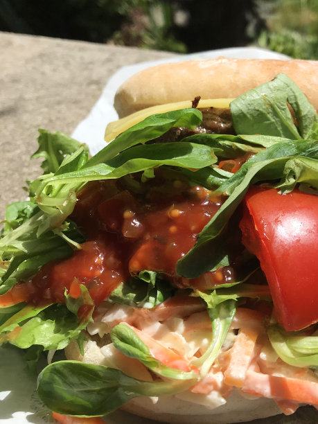 图片自制的美味汉堡烧烤，切达奶酪片，快餐牛肉汉堡肉饼，烤芝麻小面包，奶酪汉堡，混合沙拉生菜叶，洋葱，番茄佐料酸辣酱，凉拌卷心菜，吃户外公园野餐图片下载