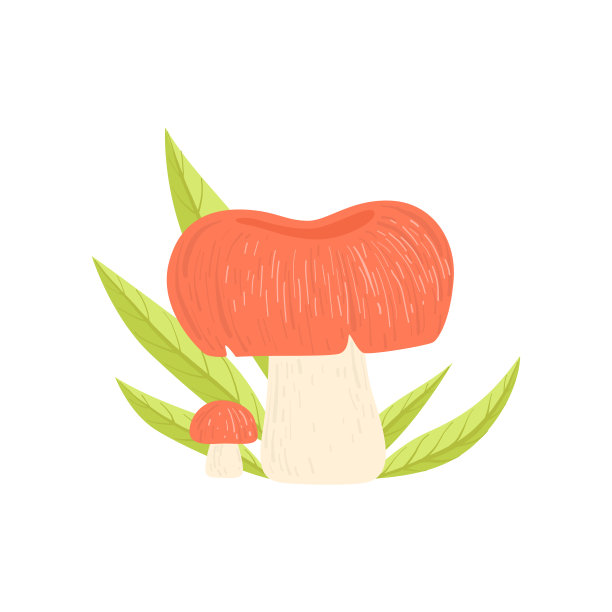 森林食用菌和绿草，野生有机产品载体插图图片下载