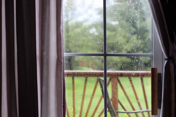 雨天透过窗户看到后院的景色图片下载