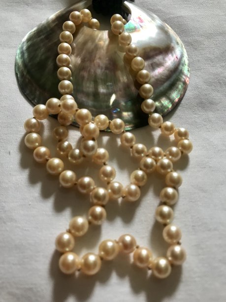 贝壳和珍珠项链图片下载