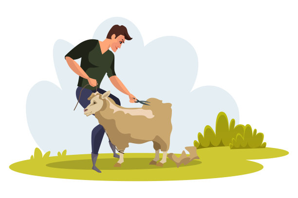 人剪羊毛平矢量插图图片下载