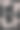热带风情请帖模板。由粉红色榕树组成，有弹性。图片下载