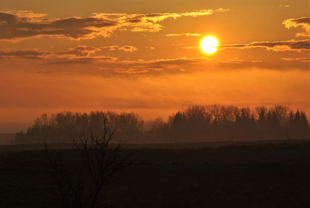 金色的阳光透过清晨的迷雾图片下载