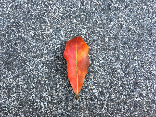 红色的枯叶落在颗粒状的小石头地板上。经典的表面纹理背景。图片下载