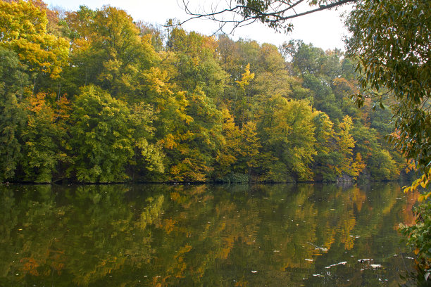 绿色的森林和河流。森林湖。这条河在树林中流过。美丽的自然景色。绿色森林景观照片。森林自然在一个晴朗的日子。德国美丽的自然风光。图片下载