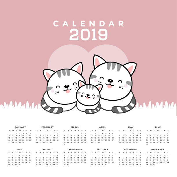 日历2019与可爱的猫。图片下载