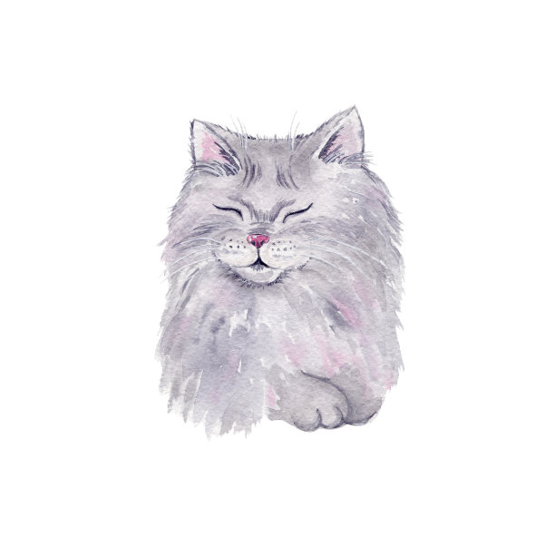 水彩画可爱毛茸茸的猫。水彩画织物，明信片，贺卡，书，海报，t恤。说明,孤立的对象。图片下载