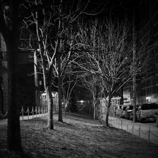 我的街区图片下载