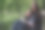 沉思的黑发女孩坐在公园的长椅上，喝着纸杯咖啡，读着一本软皮书。图片下载