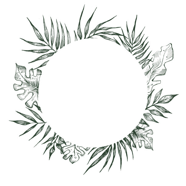 以棕榈叶为框架。手绘插图。图片下载