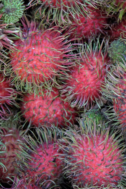 以大量红毛丹为背景。不寻常的热带水果。图片下载