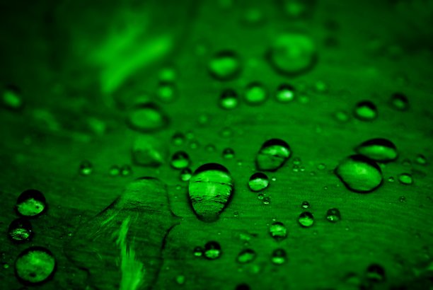 绿叶和水滴图片下载