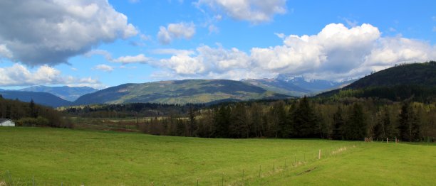山领域图片下载