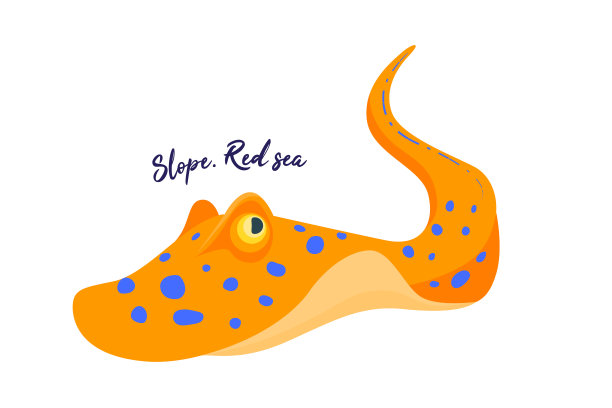 黄貂鱼。卡与解释。大海中危险的鱼。向量图片下载