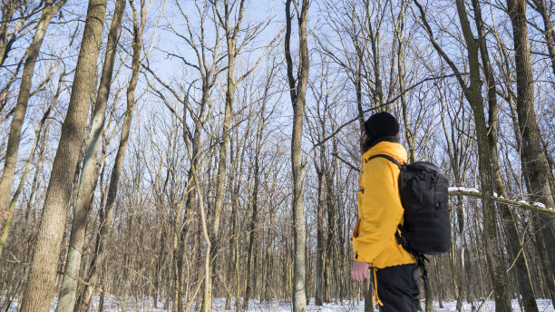 男子穿着黄色夹克和一个黑色的照片背包在阳光明媚的森林覆盖着雪看树上。图片下载