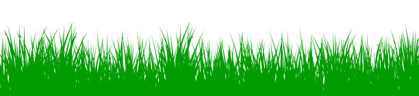 抽象背景的全帧拍摄图片下载