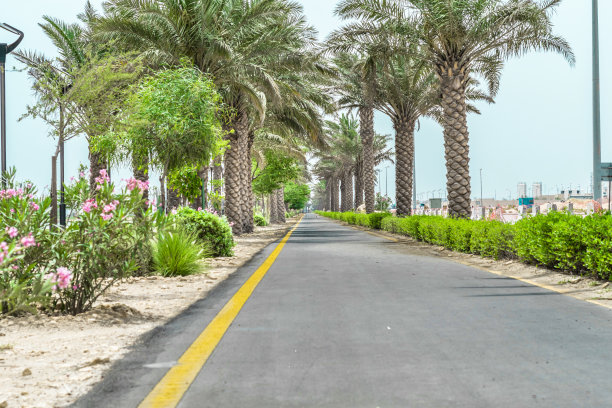 美丽城市的公园绿地图片下载