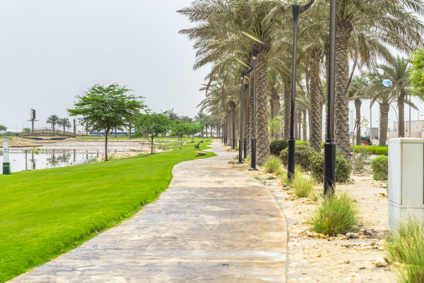 美丽城市的公园绿地图片下载