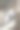 公野生家鸽在印度庙宇栖息/筑巢的特写图片，鸽子照片显示眼睛、嘴、脚、腿、健康的白鼻子、有害的腐蚀性粪便及野生灰鸽防治雀鸟及鸽子防治鸟巢虫害图片下载