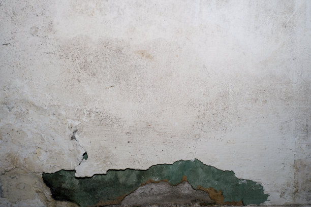 霉菌墙的特写图片下载