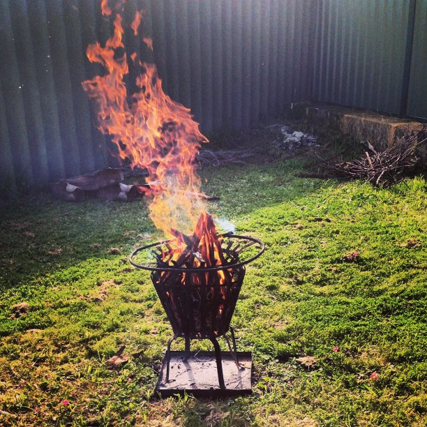 后院的火图片下载