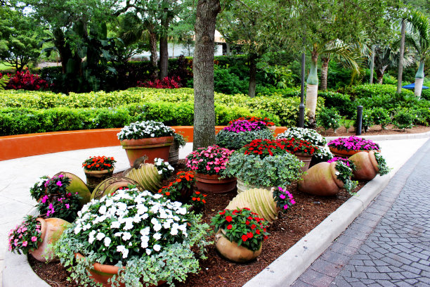 园林花卉自然色彩图片下载