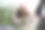 猫在车里的照片。看着窗外的马路图片下载