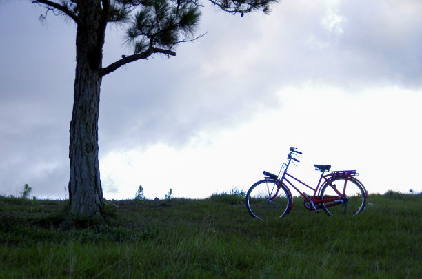 夕阳下的自行车、孤独的树和一对情侣图片下载