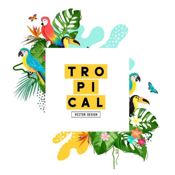 异国情调的丛林夏天背景框架图片下载