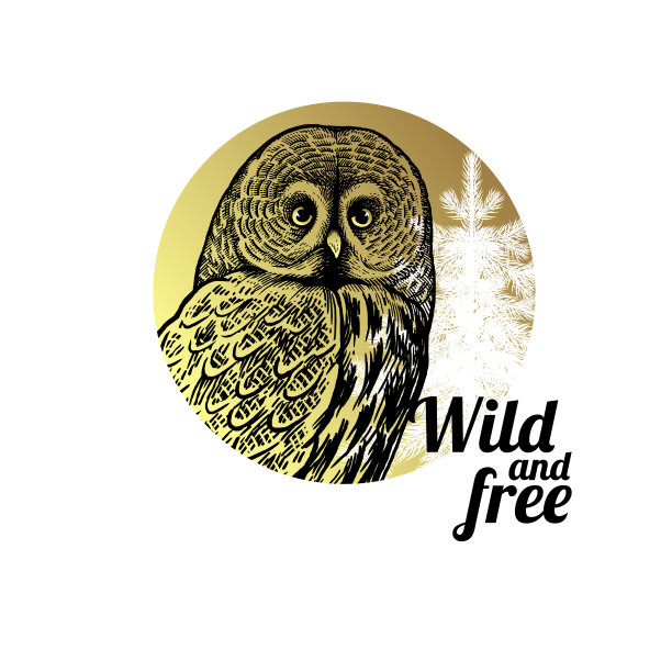 森林里的鸟。猫头鹰特写头，上面写着"狂野自由"图片下载