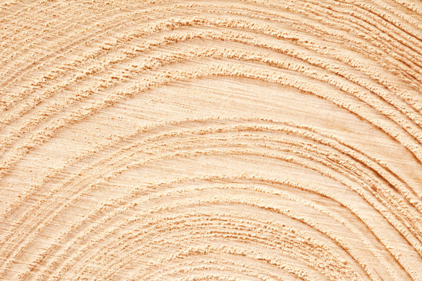 带有树木年轮纹理图案和裂缝的大型圆形木材横截面背景图片下载