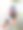 蓝莓狗——一只吃蓝莓的狗图片下载