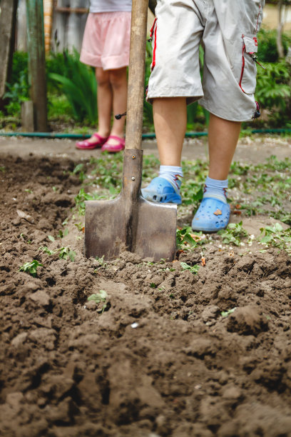 那个男孩正在用一把大铁锹挖菜园。帮助成人和工作的概念，从童年开始图片下载