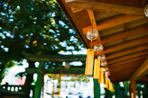 许多日本风铃在夏天图片下载