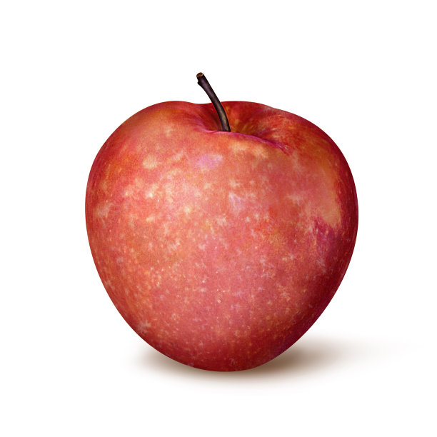 白色背景上的苹果图片下载