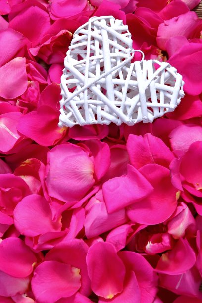 粉红色玫瑰花瓣上的心形图案。图片下载