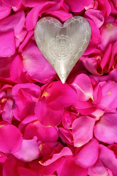 粉红色玫瑰花瓣上的心形图案。图片下载