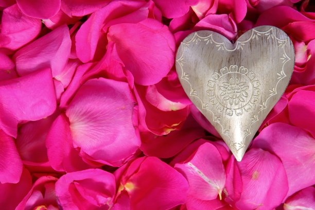 粉红色玫瑰花瓣上的心形图案。图片下载